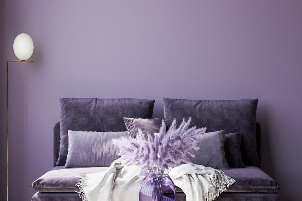 black and purple color palette