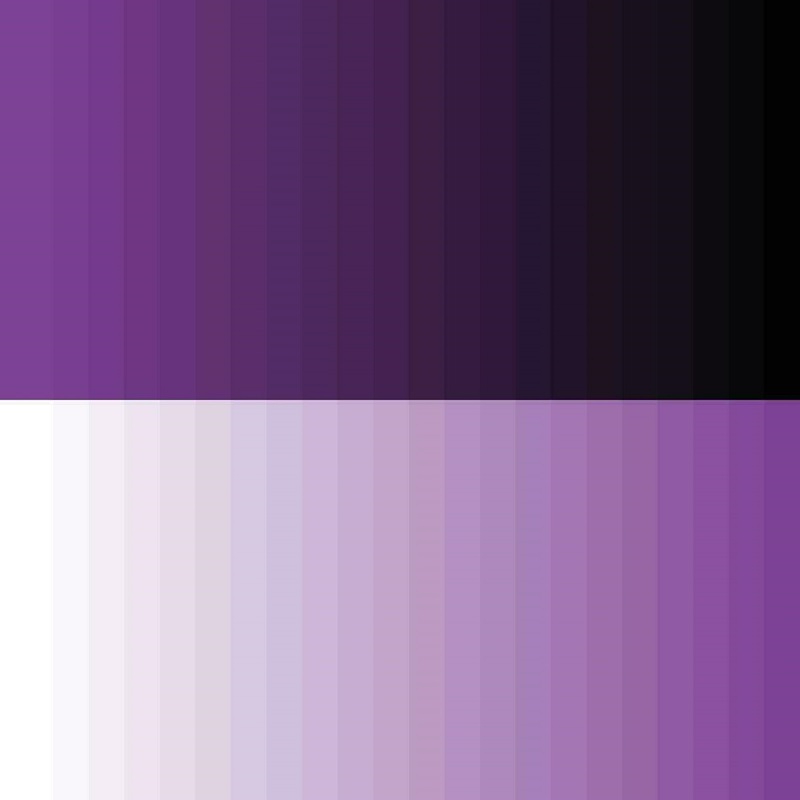 purple and black color palette