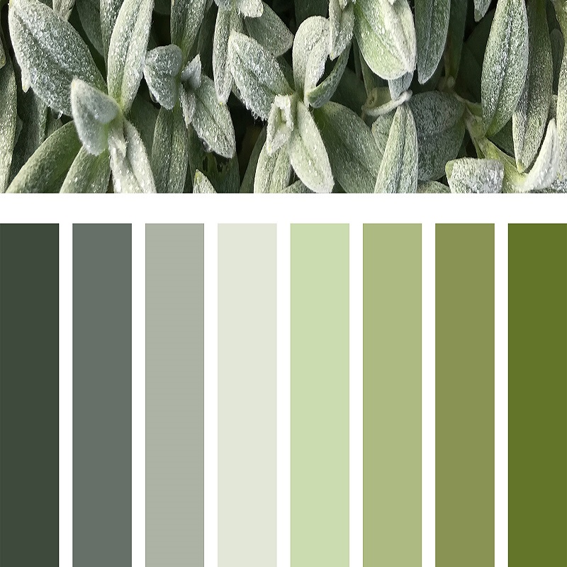 green neutral color palette