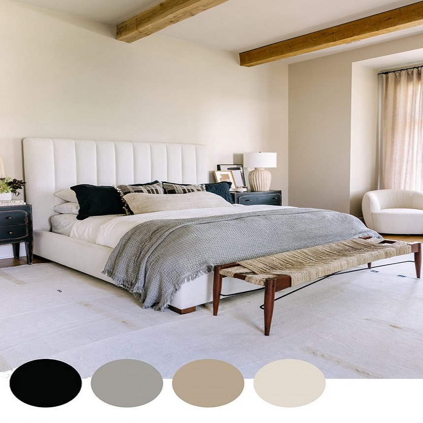 Cream Color Palette