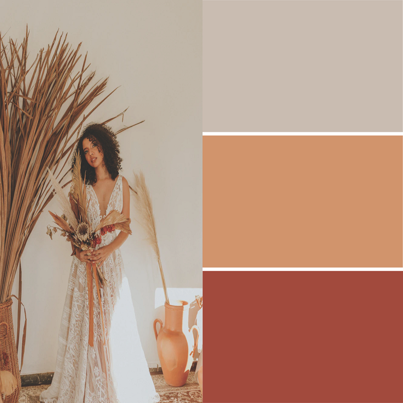 tan color palette